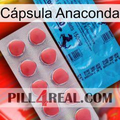 Cápsula Anaconda new14